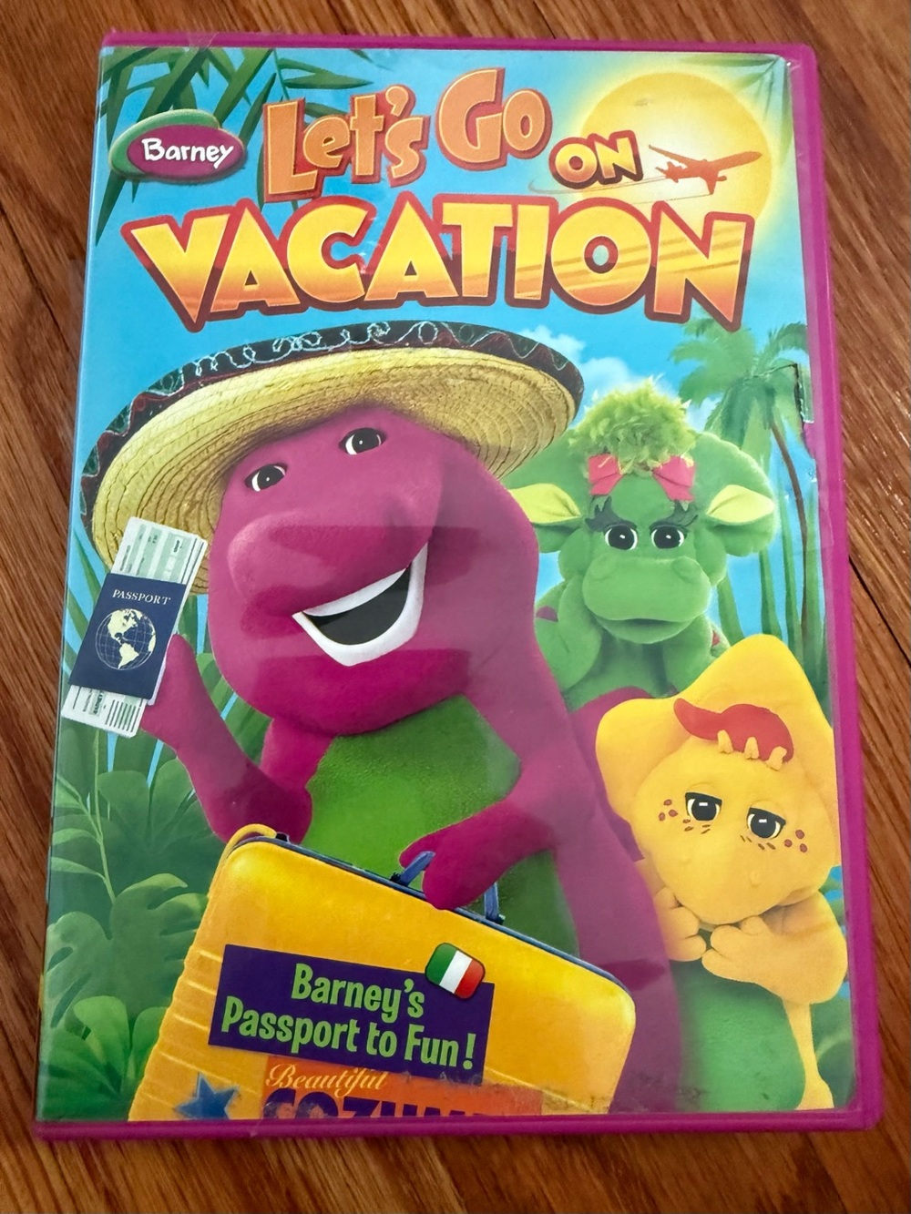 Barneys New York Purple & Green Let's Go On Vacation Kids DVD